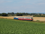 Tento záběr zvláštního vlaku s čelními motorovými vozy M262.007 a M274.004 vznikl na širé trati mezi Uhřičicemi a Lobodicemi   Foto: Martin Benáček