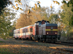 Náladový podzimní snímek "Karkulky" T444.1516 s osobními vozy byl na tovačovském nádraží pořízen za časného rána dne   Foto: Michal Boček