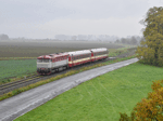 Lokomotiva 749 254-9 byla na rovince mezi Tovačovem a Lobodicemi s výlovovým zvláštním vlakem do Kojetína zachycena   Foto: Michal Boček