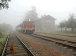 V neděli ráno uvítalo stroj T435.0113 se zvláštním vlakem počasí, ve kterém by leckdo ani psa ven nevyhnal...   Foto: Martin Benáček