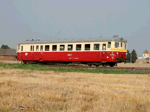 Nádherný záběr venkovské letní železniční idylky s motorovým vozem 831 183-9 se podařilo autorovi pořídit v Lobodicích   Foto: Michal Boček