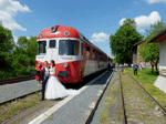 Stále ještě vzácnou návštěvu v podobě vlaku na nádraží v Tovačově využil ve svůj den svatební také jistý mladý pár k pořízení svých svatebních fotek   Foto: Rosťa Kolmačka