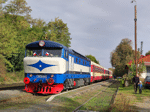 Před další z desítky svých jízd se zvláštním vlakem do Kojetína během výlovového víkendu byla T478.1002 v Tovačově zachycena   Foto: Jana Plachá